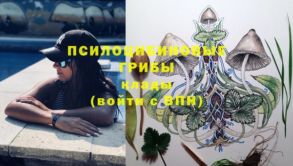 ГАЛЛЮЦИНОГЕННЫЕ ГРИБЫ Балахна