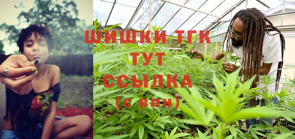 ГАЛЛЮЦИНОГЕННЫЕ ГРИБЫ Балахна