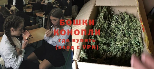 ГАЛЛЮЦИНОГЕННЫЕ ГРИБЫ Балахна