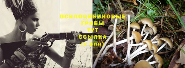 ГАЛЛЮЦИНОГЕННЫЕ ГРИБЫ Балахна