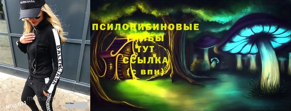 ГАЛЛЮЦИНОГЕННЫЕ ГРИБЫ Балахна