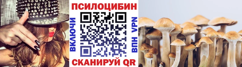 Галлюциногенные грибы Psilocybe Первомайск